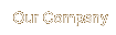 Our Company